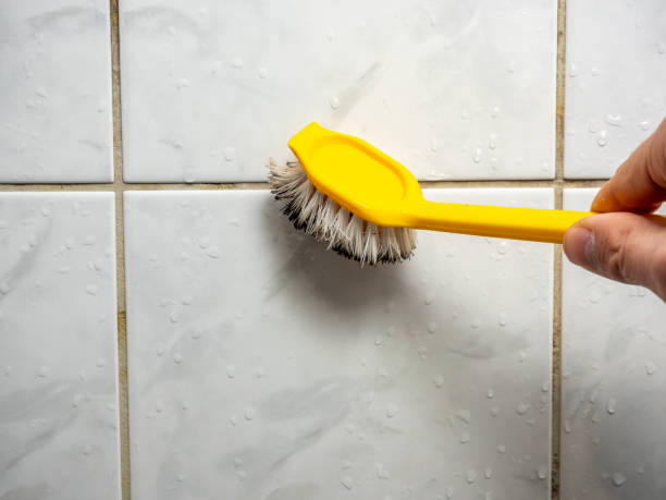 Best Professional Mold Removal  in Vienna, GA