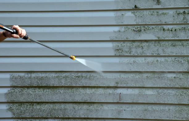 Mold Testing and Removal in Vienna, GA