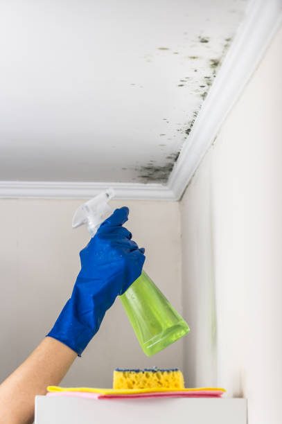 Best Crawl Space Mold Removal  in Vienna, GA